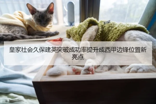 皇家社会久保建英突破成功率提升成西甲边锋位置新亮点